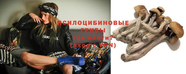2c-b Алзамай