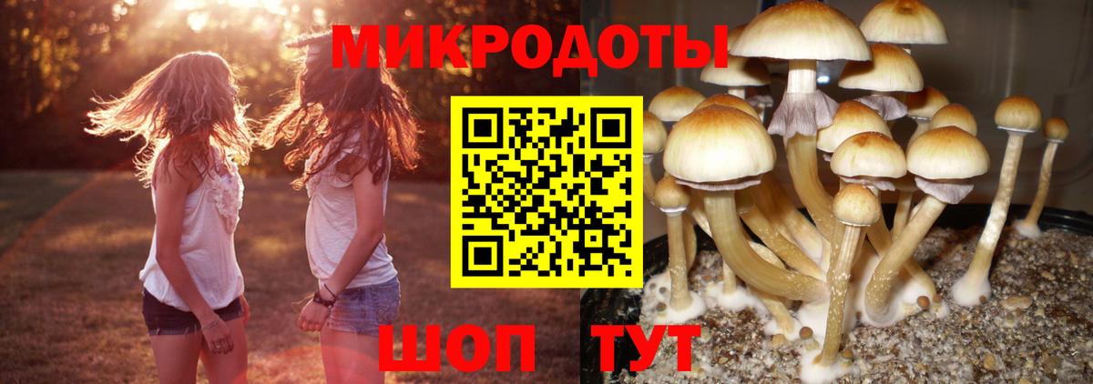 Галлюциногенные грибы прущие грибы Феодосия